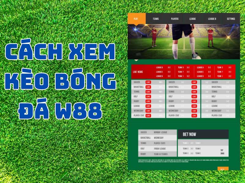 Cách xem kèo bóng đá W88 chi tiết dễ hiểu cho bet thủ mới